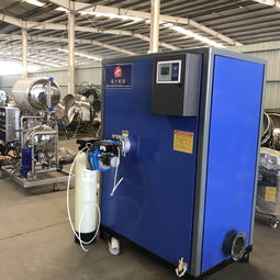 環(huán)保蒸汽鍋爐報價 廠家