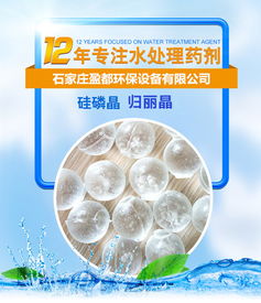 臺州鍋爐歸麗晶價格 公司動態(tài) 石家莊盈都環(huán)?？萍? />
</span>
<span id=