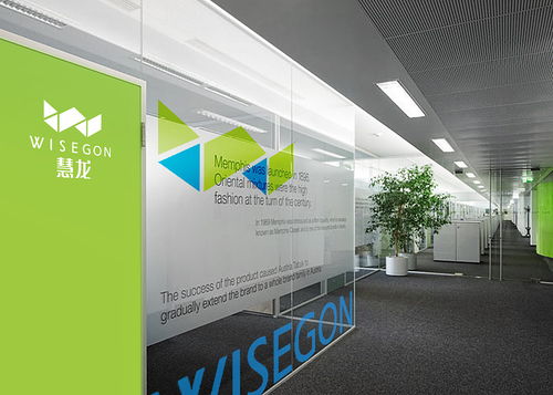 慧龍環(huán)?？萍?品牌設(shè)計(jì)